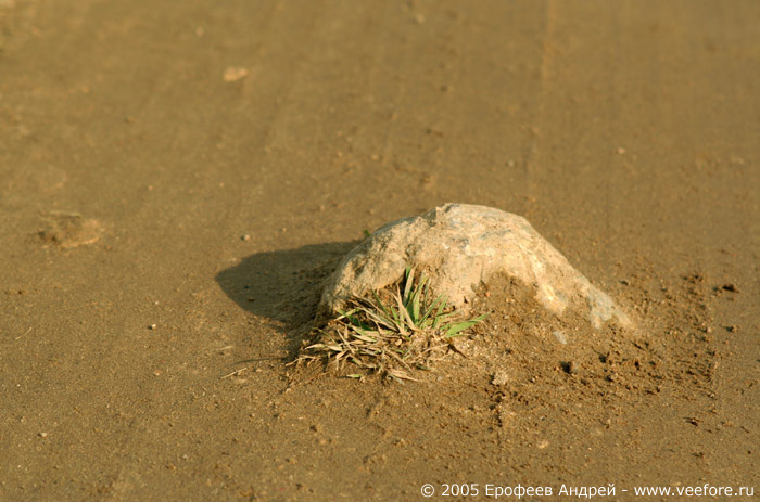 Камень на дороге