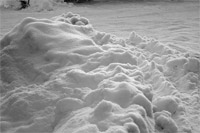 фото: Снежная куча (опубликовано 05.01.2006)