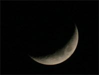 фото: Луна (02.02.2006) (опубликовано 04.02.2006)