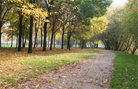 фото: Осенняя тропинка (опубликовано 11.10.2005)