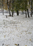 фото: С первым настоящим снегом! (опубликовано 26.10.2005)