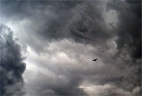 фото: Лечу я сквозь бурю и ветер... (опубликовано 30.07.2005)