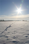 фото: Снег и солнце (опубликовано 18.01.2006)