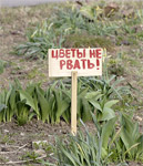 фото: табличка цветы не рвать (опубликовано 20.04.2007)