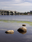 фото: Мост и камни (опубликовано 10.07.2007)