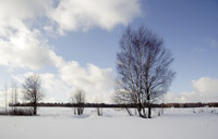 фото: Зимний пейзаж (опубликовано 13.02.2008)