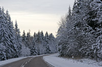 фото: Снежная дорога (опубликовано 21.12.2008)